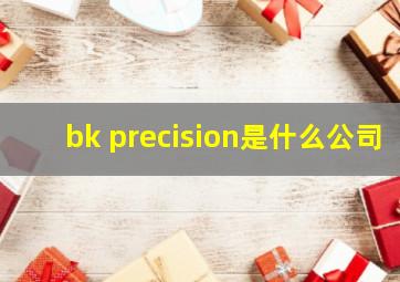 bk precision是什么公司